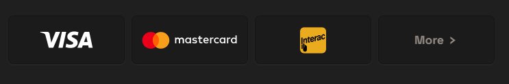SpinBoss accepted payments